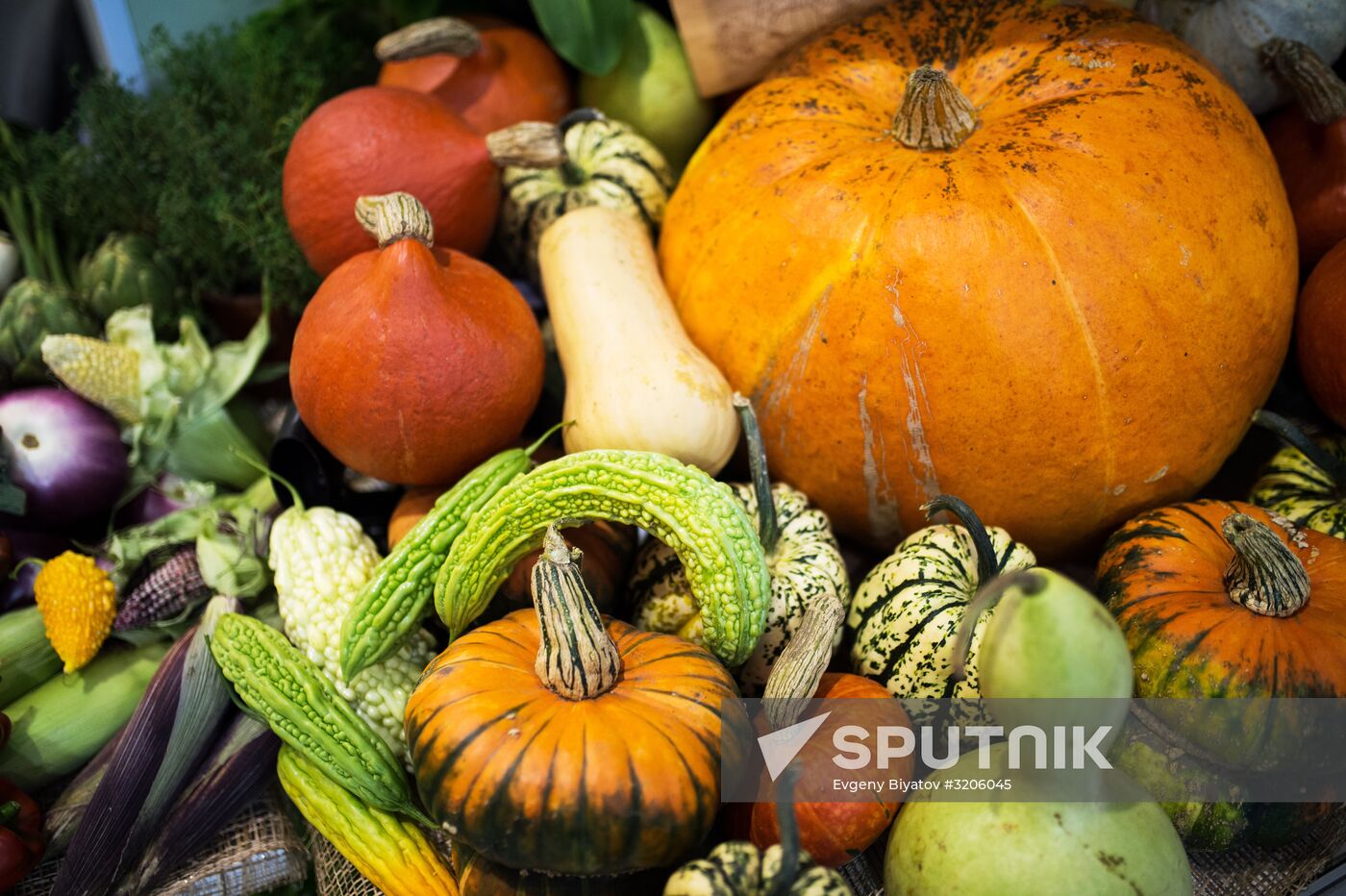 19th Golden Autumn Russian Agricultural Exhibition