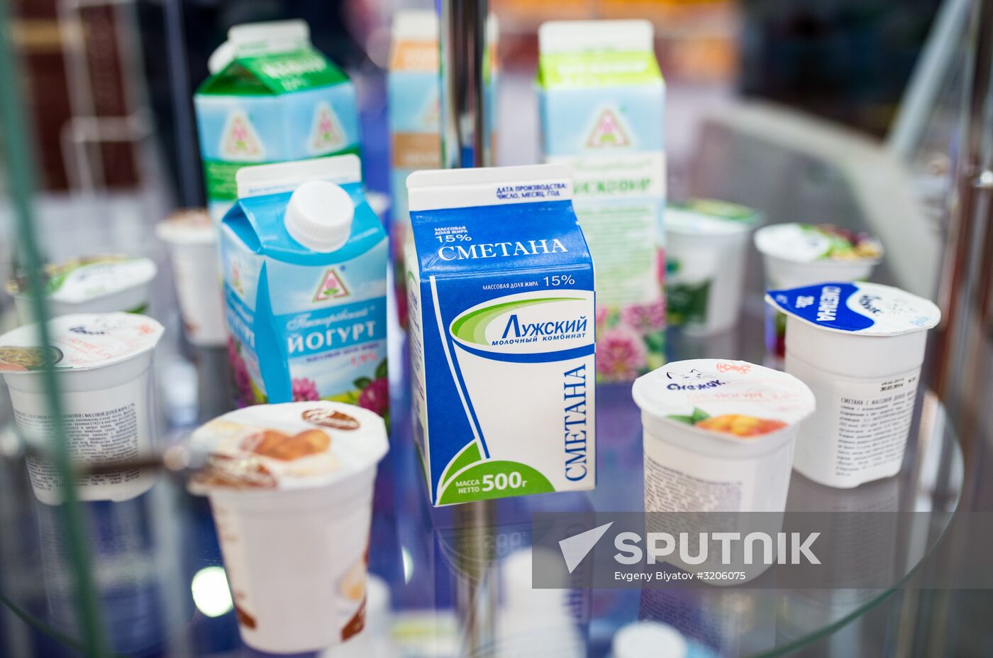 19th Golden Autumn Russian Agricultural Exhibition