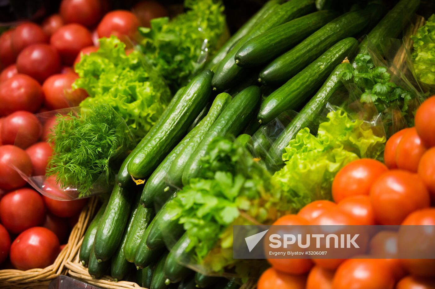 19th Golden Autumn Russian Agricultural Exhibition