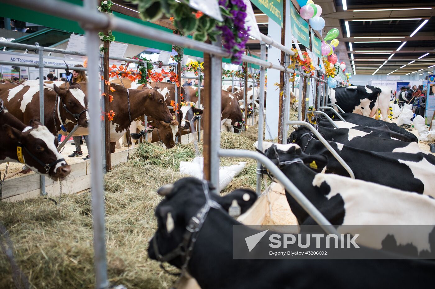 19th Golden Autumn Russian Agricultural Exhibition