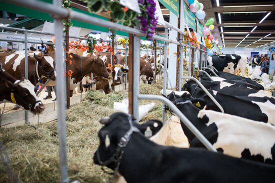 19th Golden Autumn Russian Agricultural Exhibition