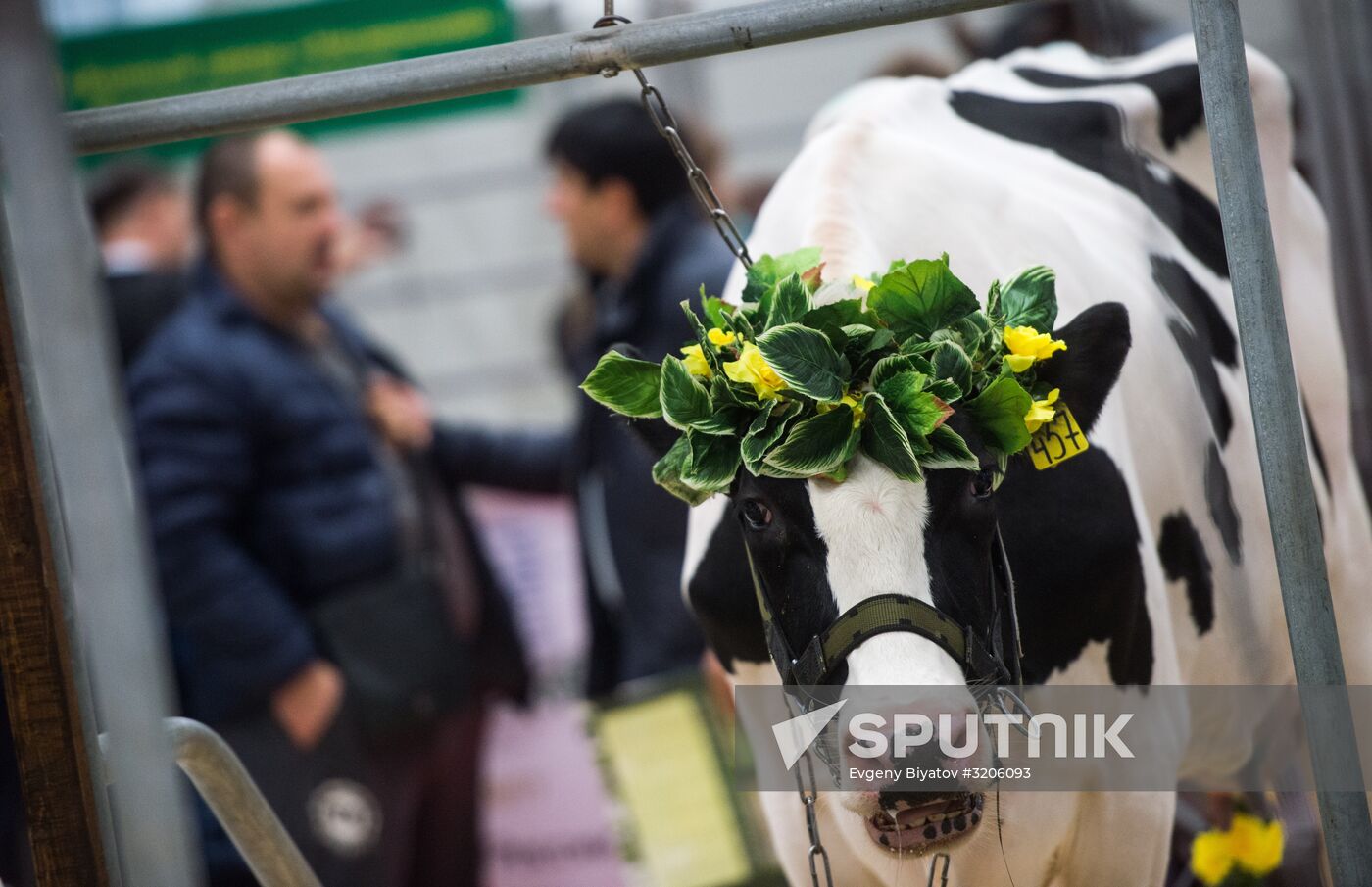 19th Golden Autumn Russian Agricultural Exhibition
