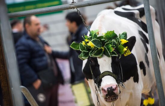 19th Golden Autumn Russian Agricultural Exhibition