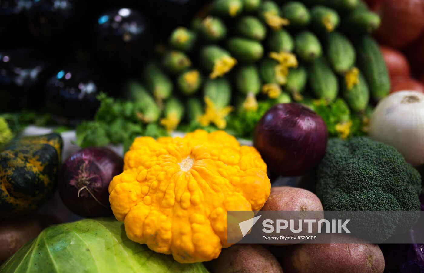 19th Golden Autumn Russian Agricultural Exhibition