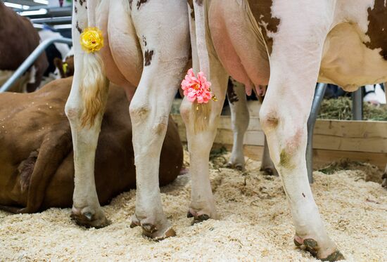 19th Golden Autumn Russian Agricultural Exhibition