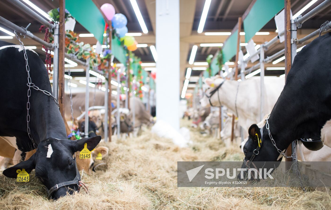 19th Golden Autumn Russian Agricultural Exhibition