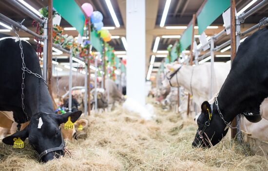 19th Golden Autumn Russian Agricultural Exhibition