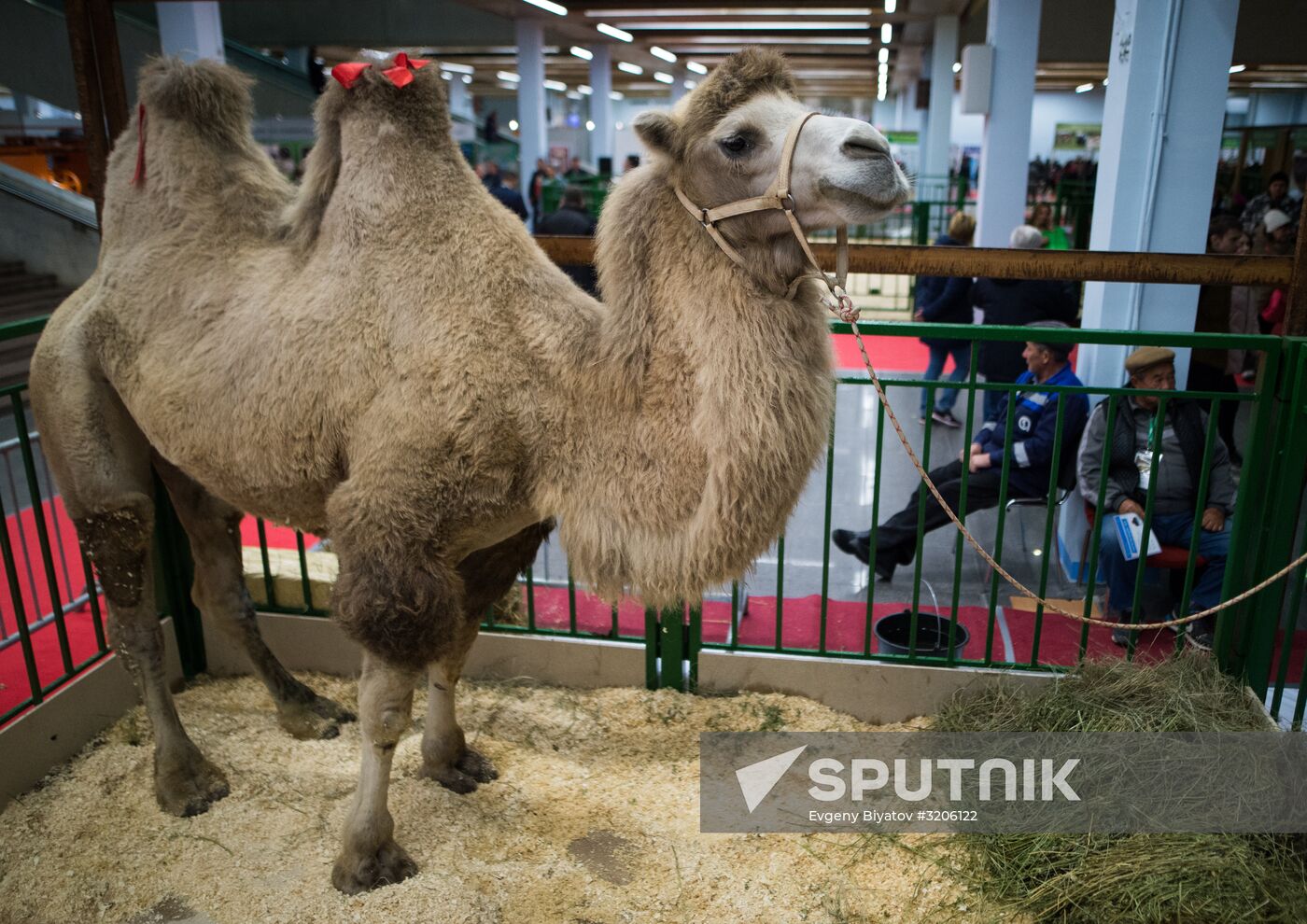 19th Golden Autumn Russian Agricultural Exhibition