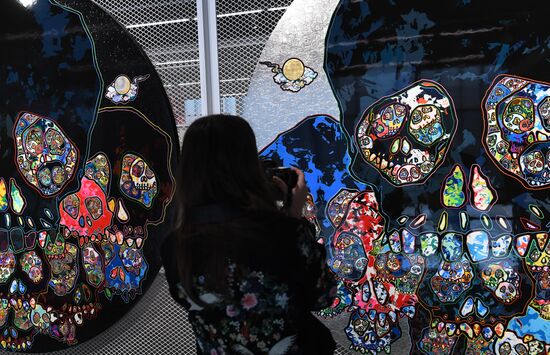 Takashi Murakami's exhibition, Under the Radiation Falls