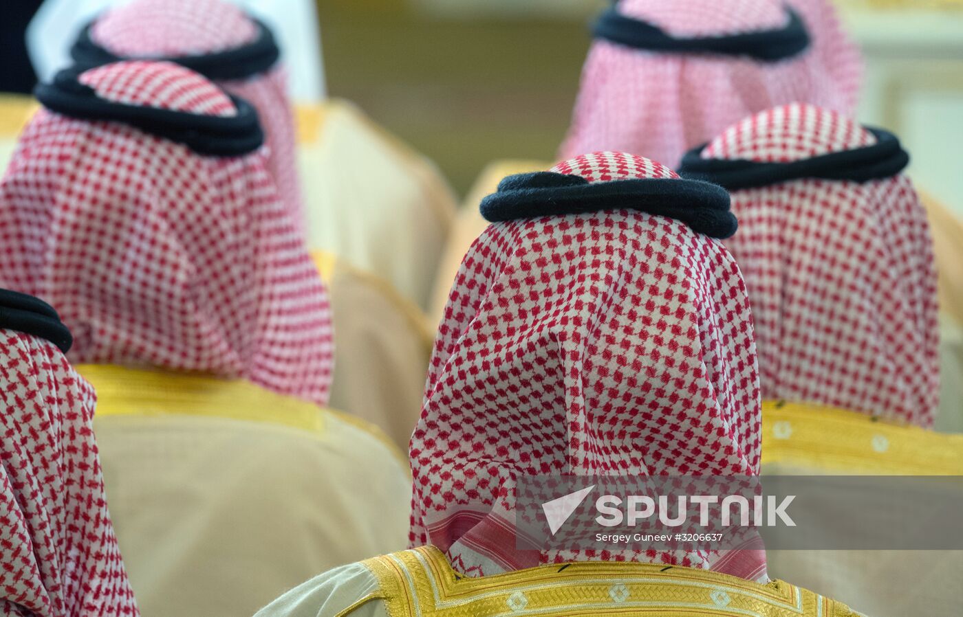 Russian President Vladimir Putin holds talks with King of Saudi Arabia Salman bin Abdulaziz Al Saud
