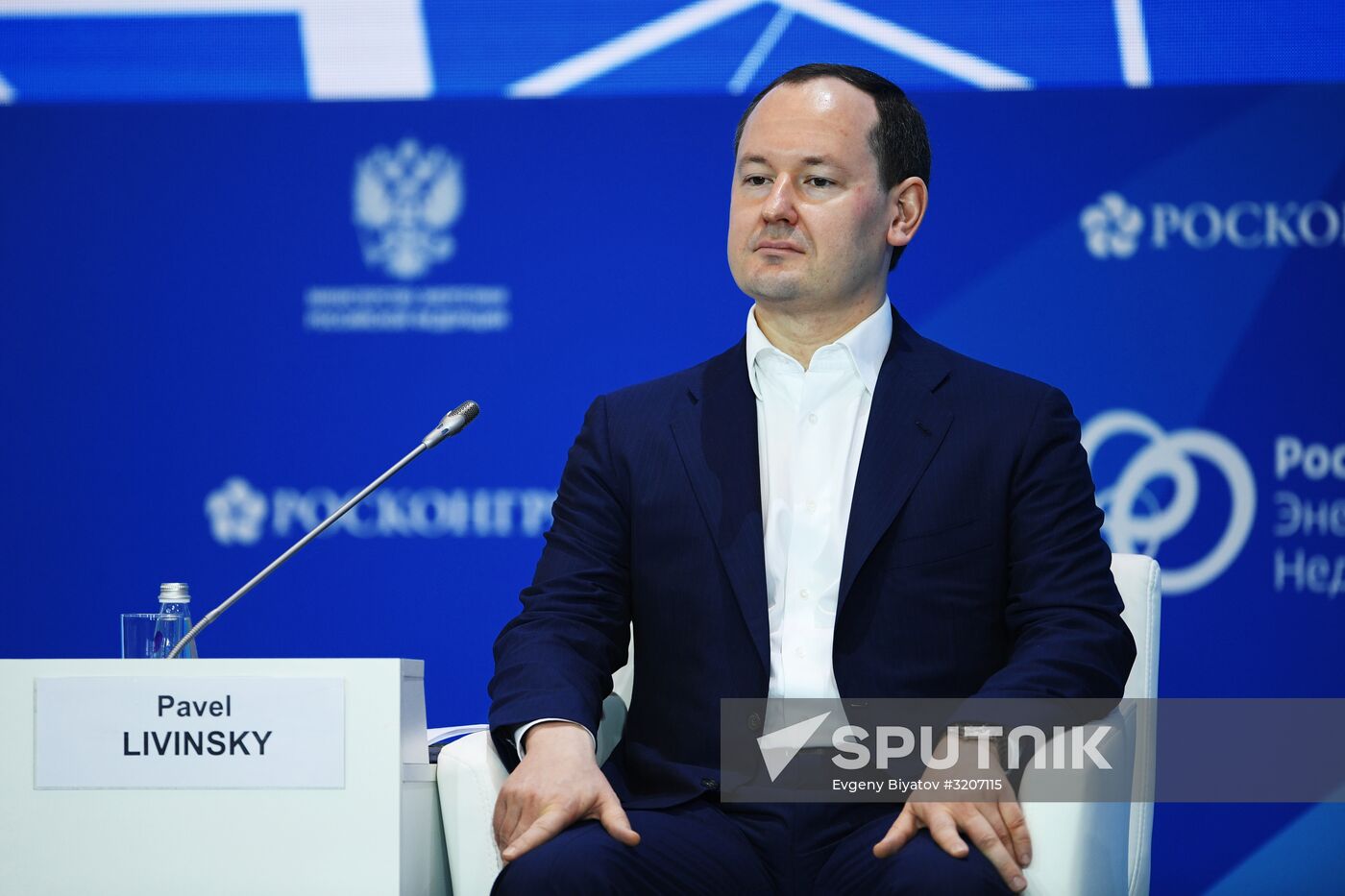 Russian Energy Week 2017 International Forum