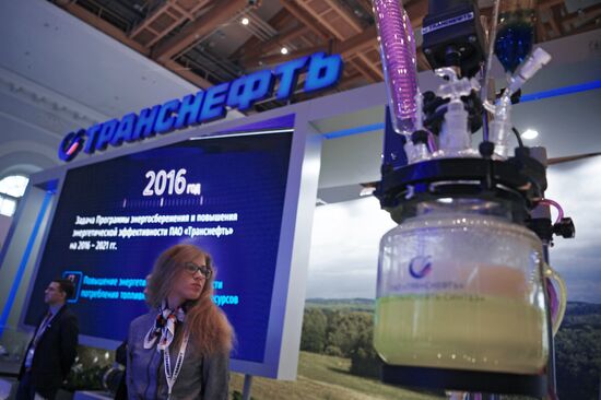 Russian Energy Week 2017 International Forum