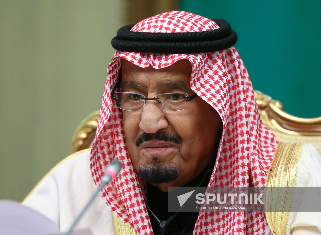Prime Minister Dmitry Medvedev meets with King of Saudi Arabia Salman bin Abdulaziz Al Saud
