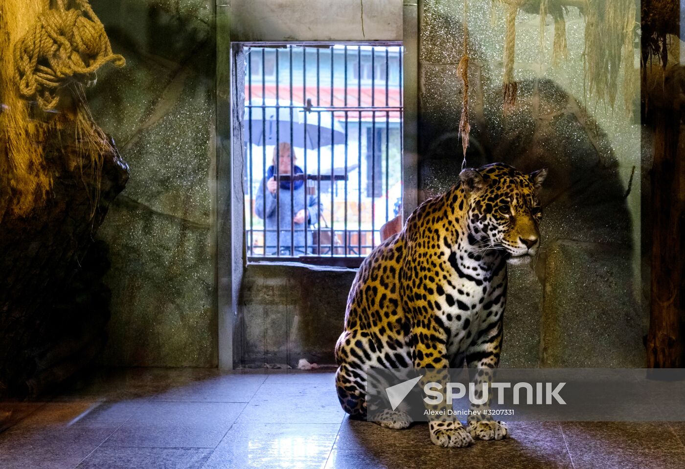 St. Petersburg Zoo