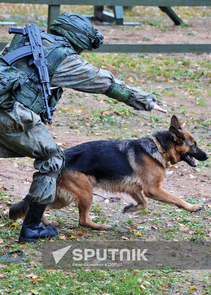 International Mine Action Center of Russian Armed Forces