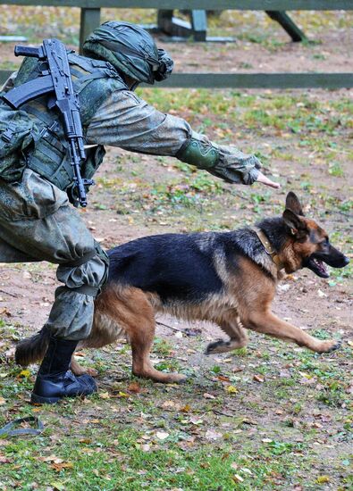 International Mine Action Center of Russian Armed Forces