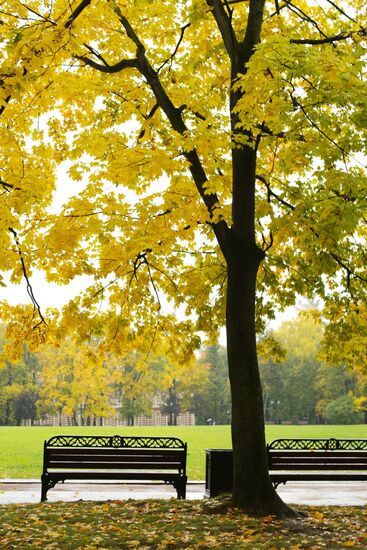 Autumn in Tsaritsyno Park