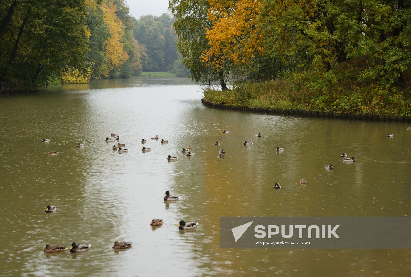 Autumn in Tsaritsyno Park