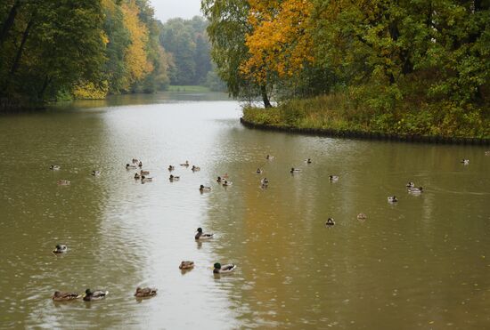 Autumn in Tsaritsyno Park