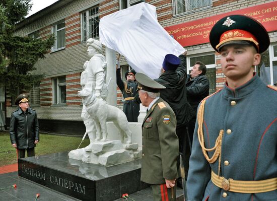 International Mine Action Center of Russian Armed Forces