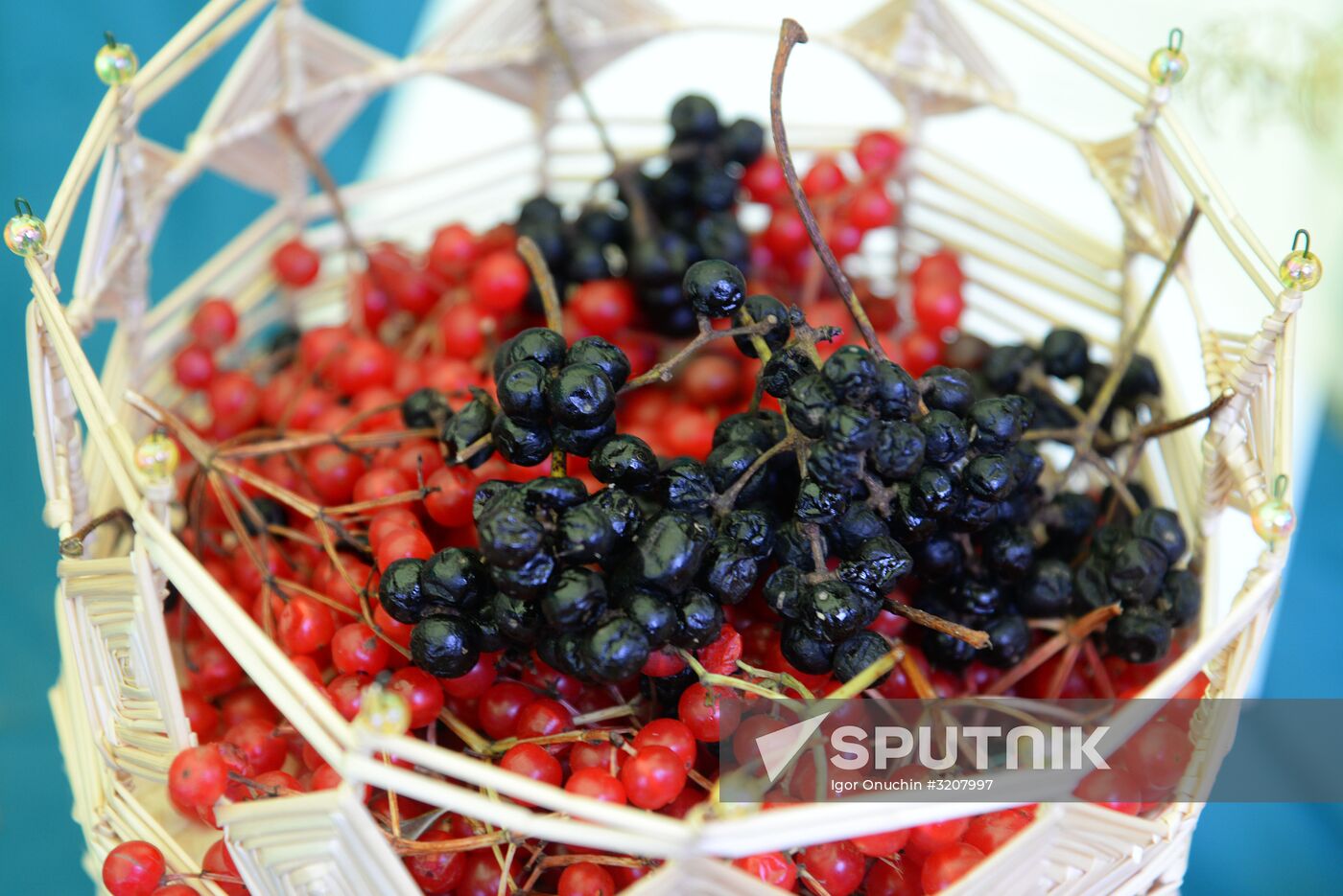 Harvest festival in Khabarovsk