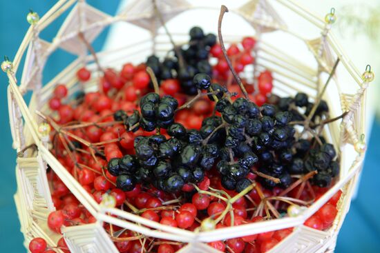 Harvest festival in Khabarovsk