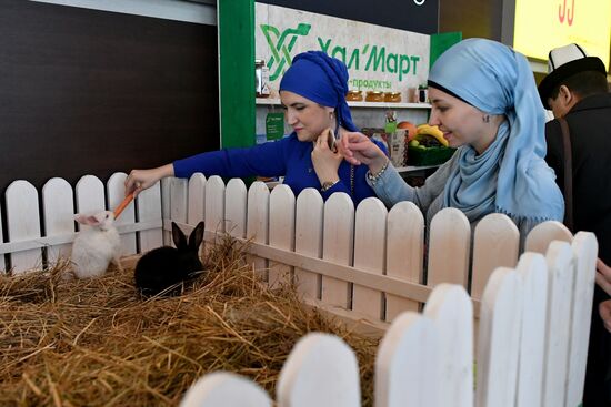 18th Moscow International Quran Reciting Competition