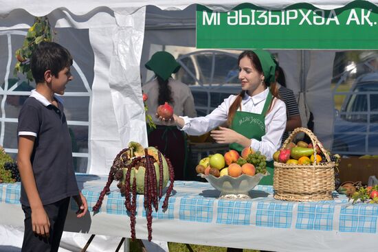 Harvest holiday in Abkhazia