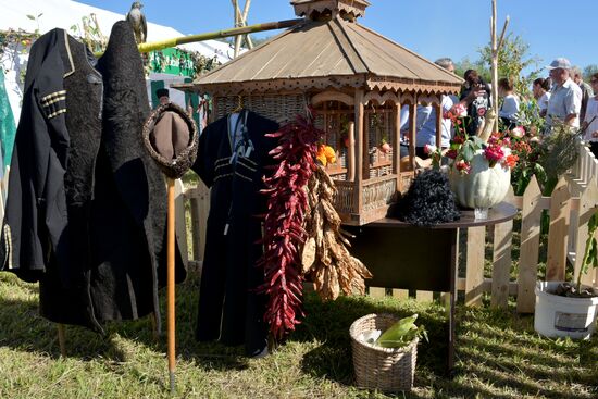 Harvest holiday in Abkhazia