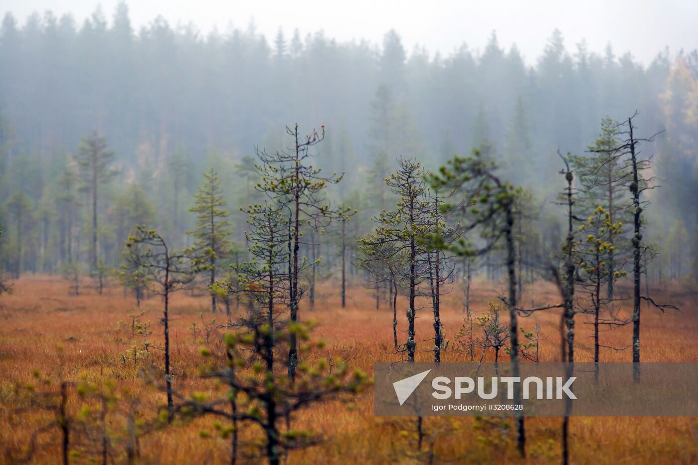 Autumn in Karelia