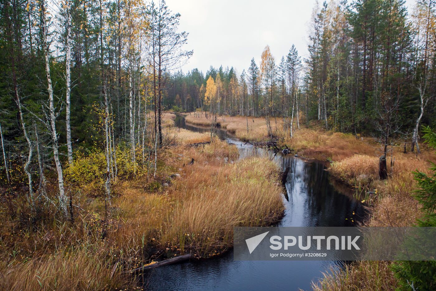 Autumn in Karelia