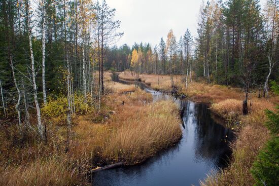 Autumn in Karelia