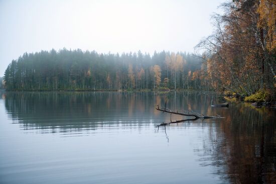 Autumn in Karelia