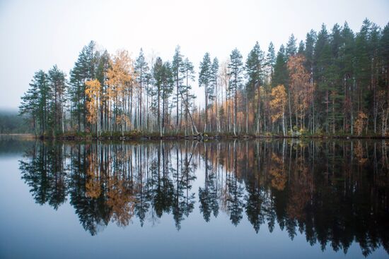 Autumn in Karelia