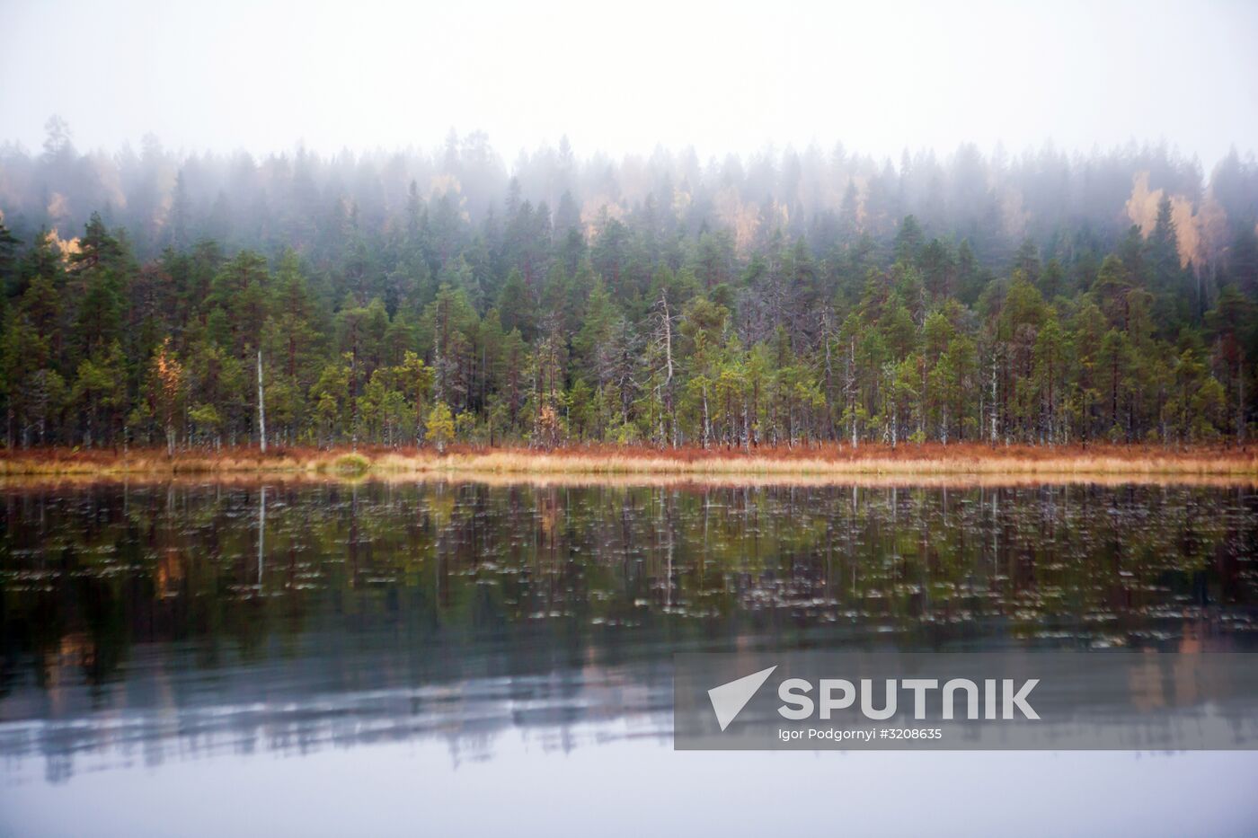 Autumn in Karelia