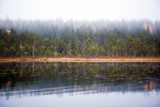 Autumn in Karelia