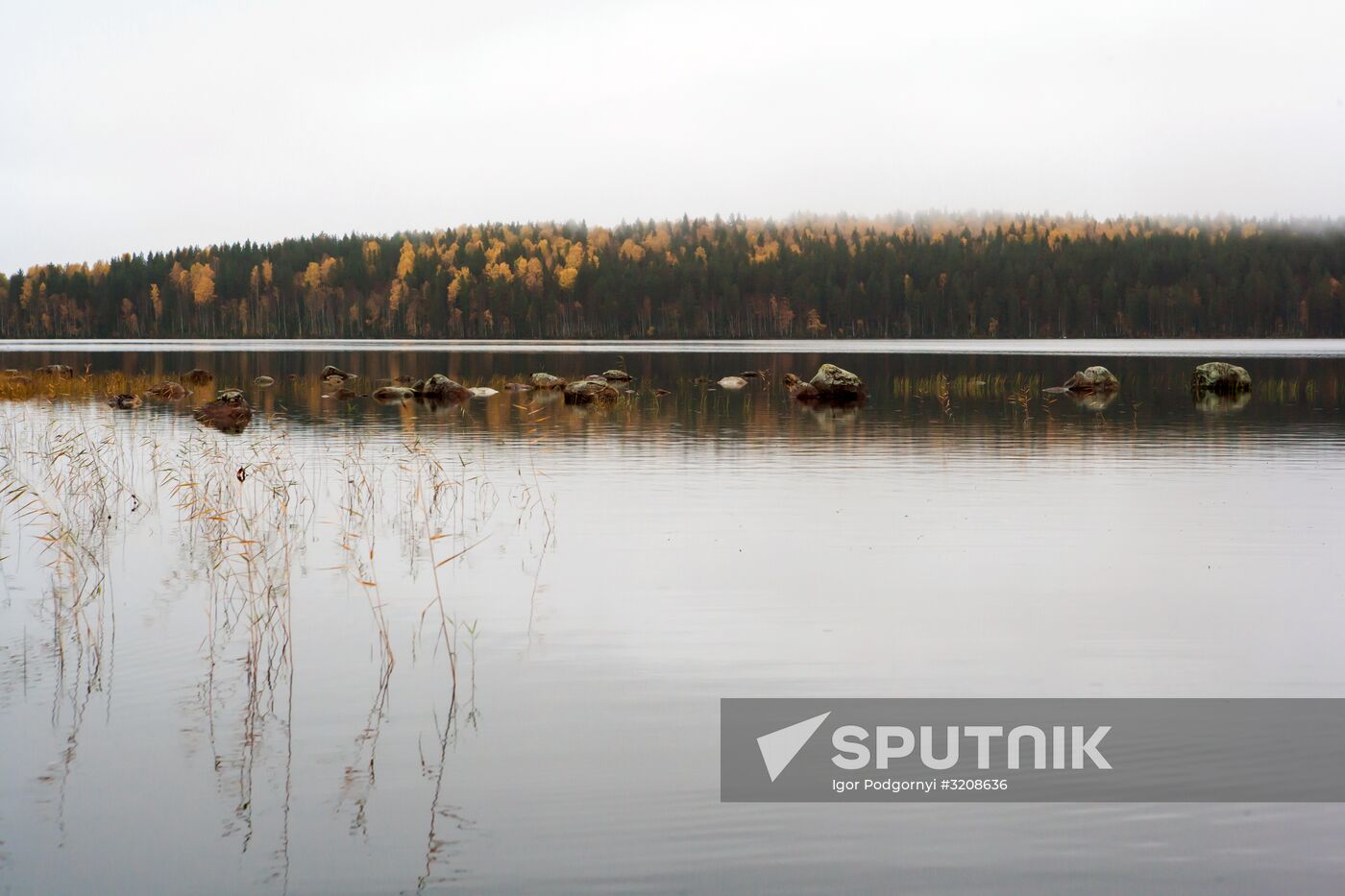 Autumn in Karelia