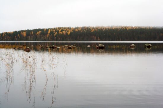 Autumn in Karelia