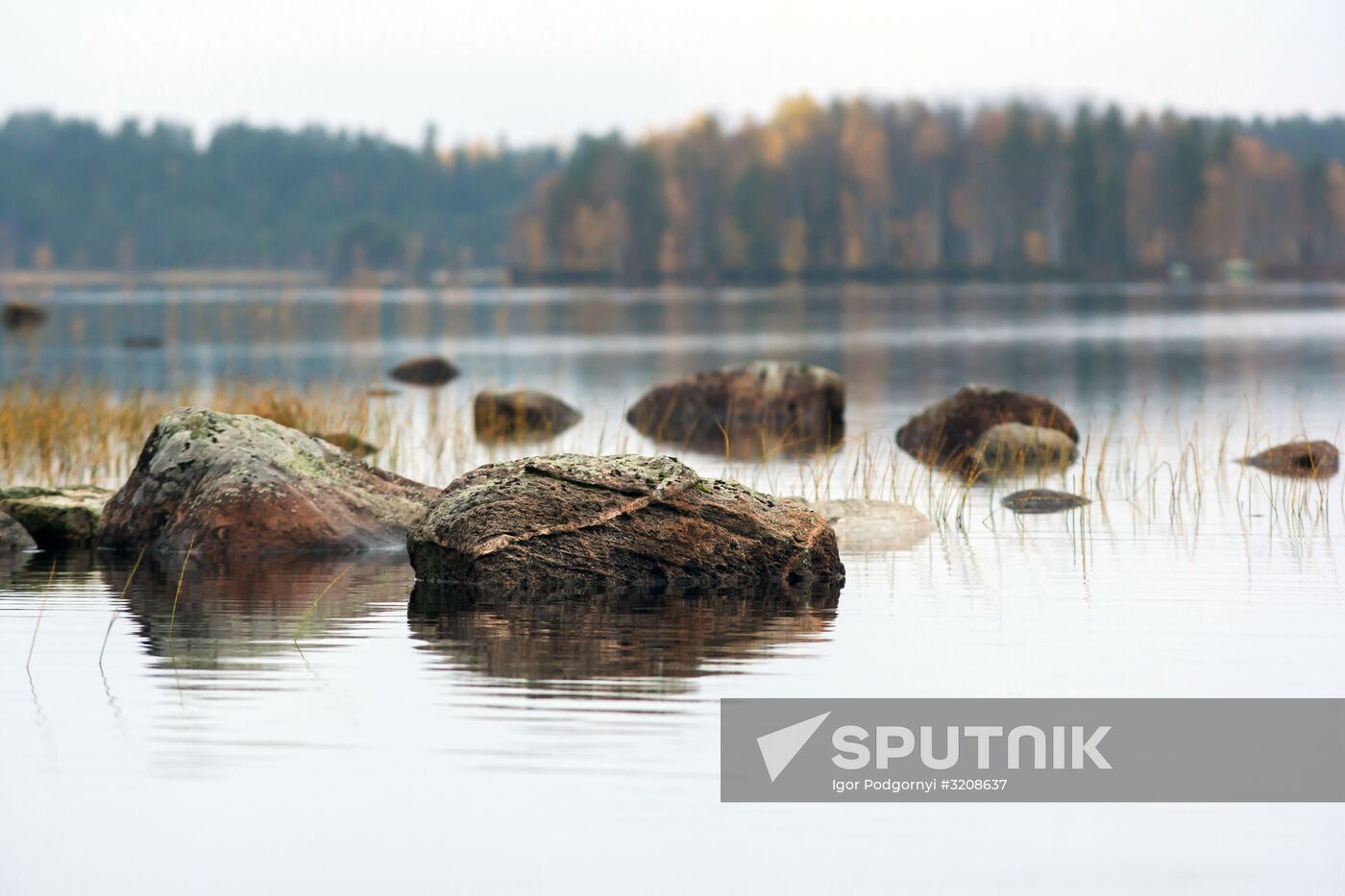 Autumn in Karelia