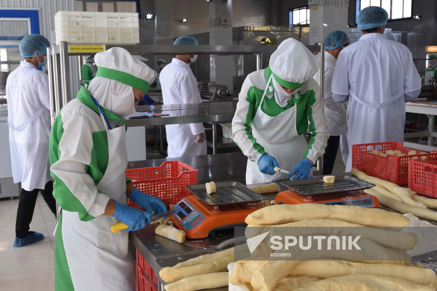 Food producing factory in Tajikistan