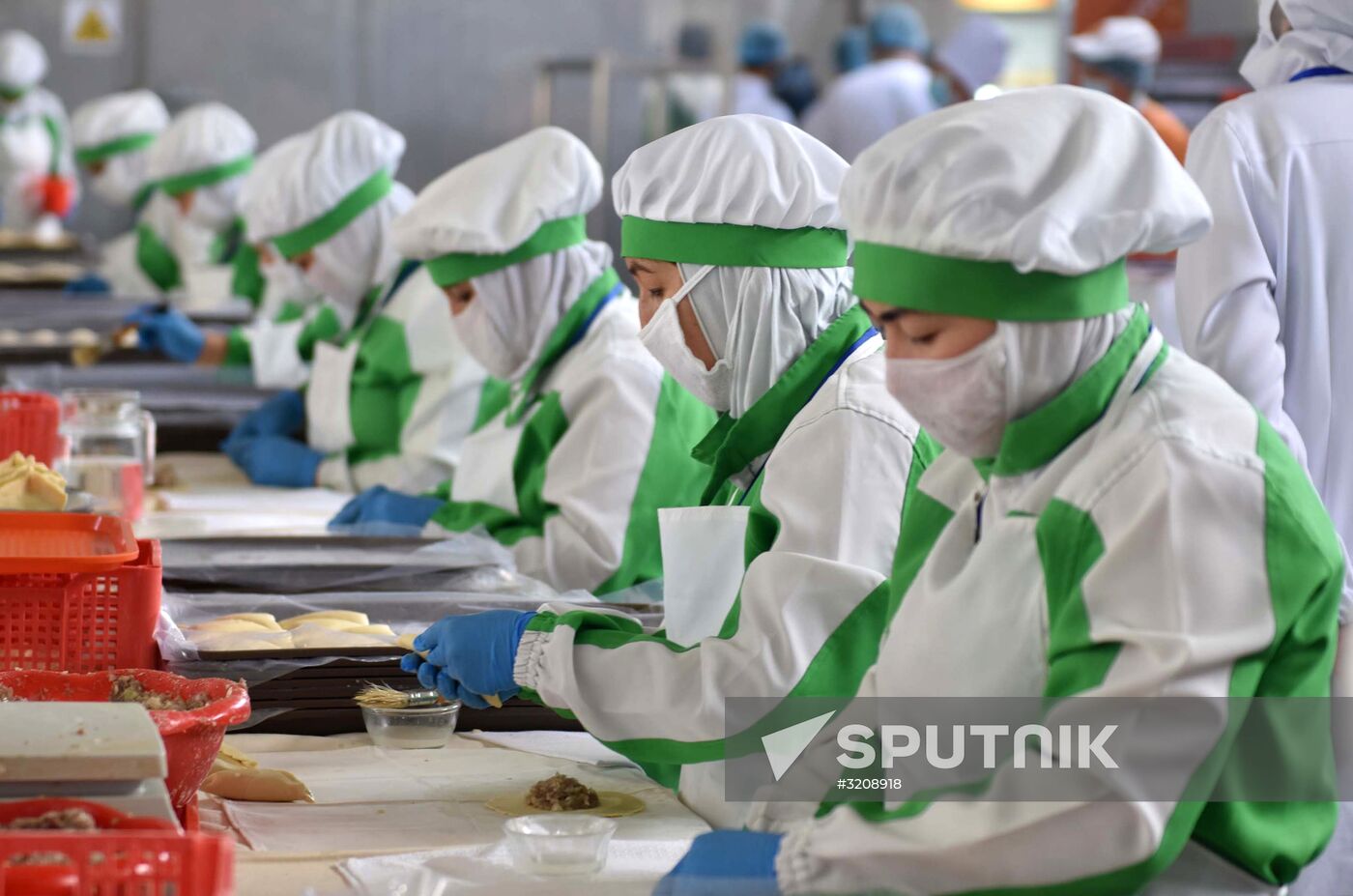 Food producing factory in Tajikistan