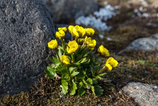 Franz Josef Land Archipelago