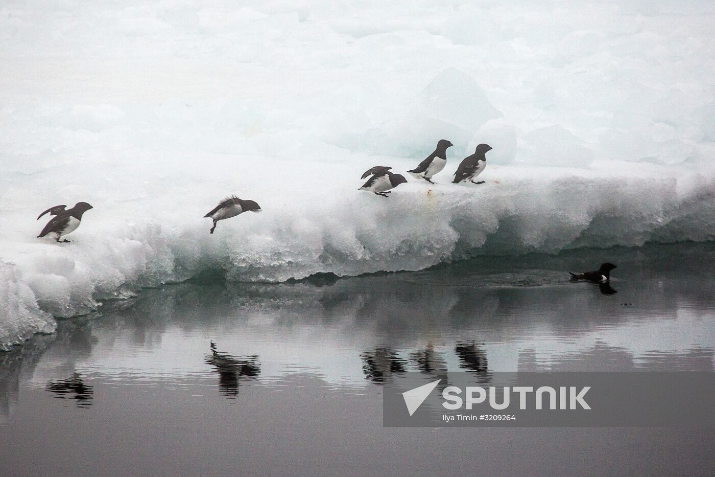 Franz Josef Land Archipelago