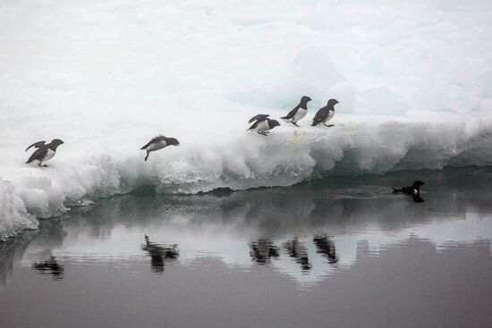 Franz Josef Land Archipelago