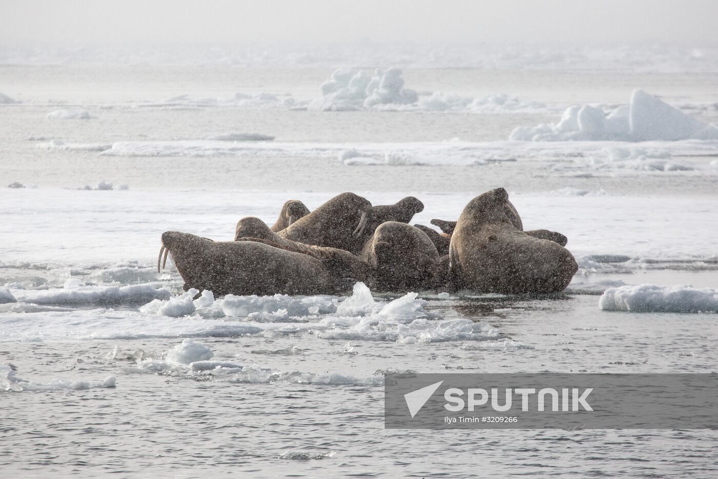 Franz Josef Land Archipelago