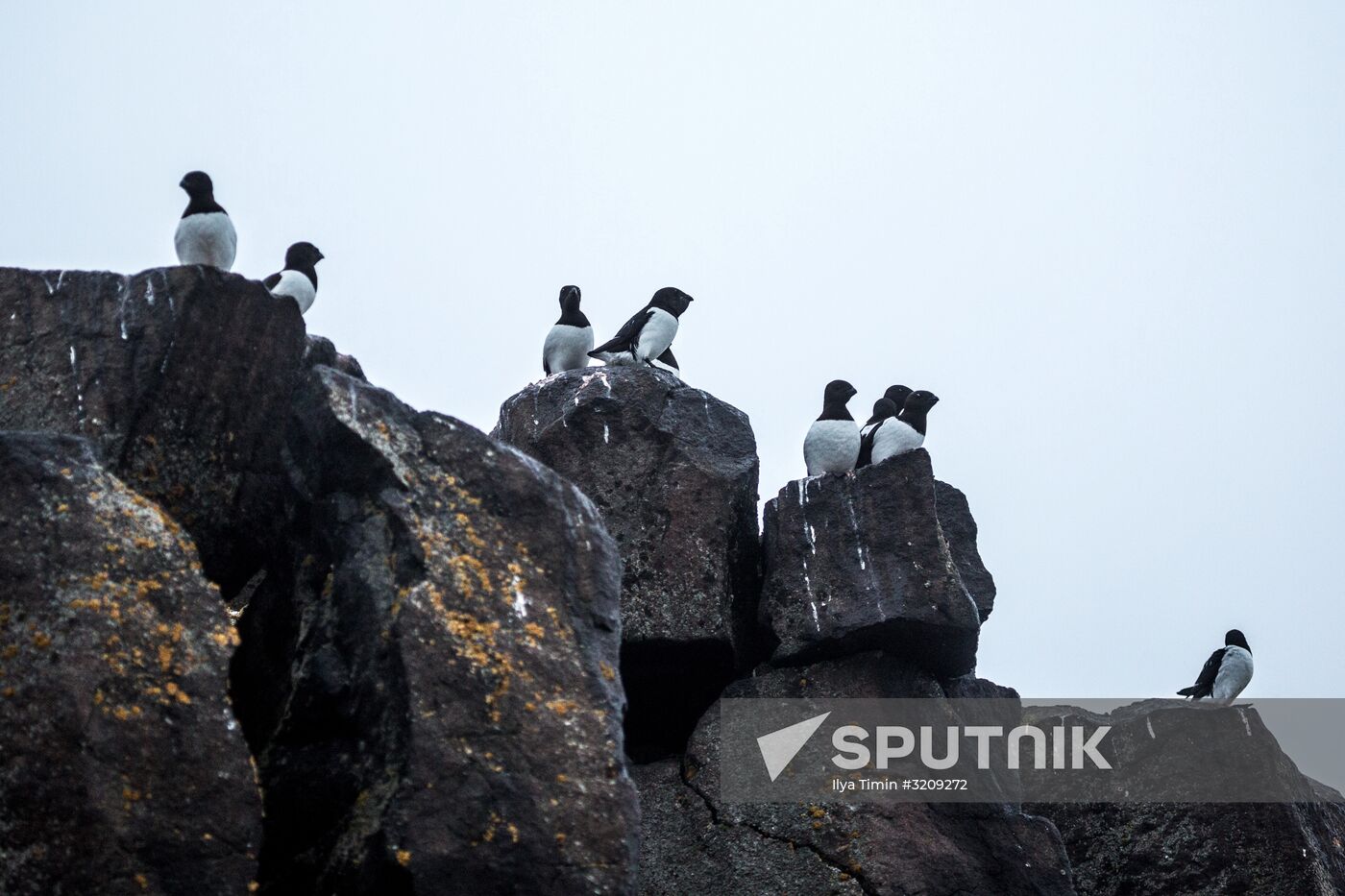 Franz Josef Land Archipelago