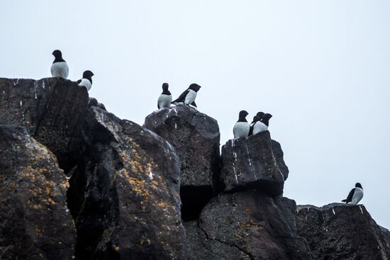 Franz Josef Land Archipelago