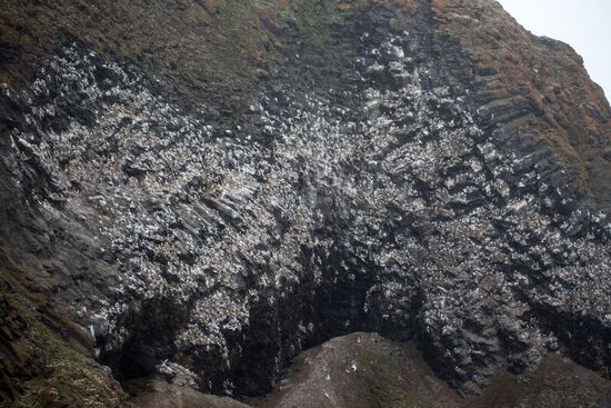 Franz Josef Land Archipelago