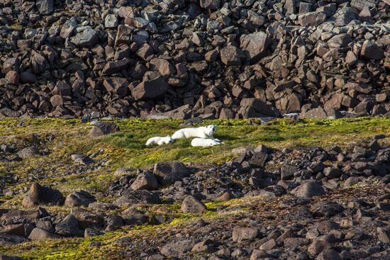 Franz Josef Land Archipelago