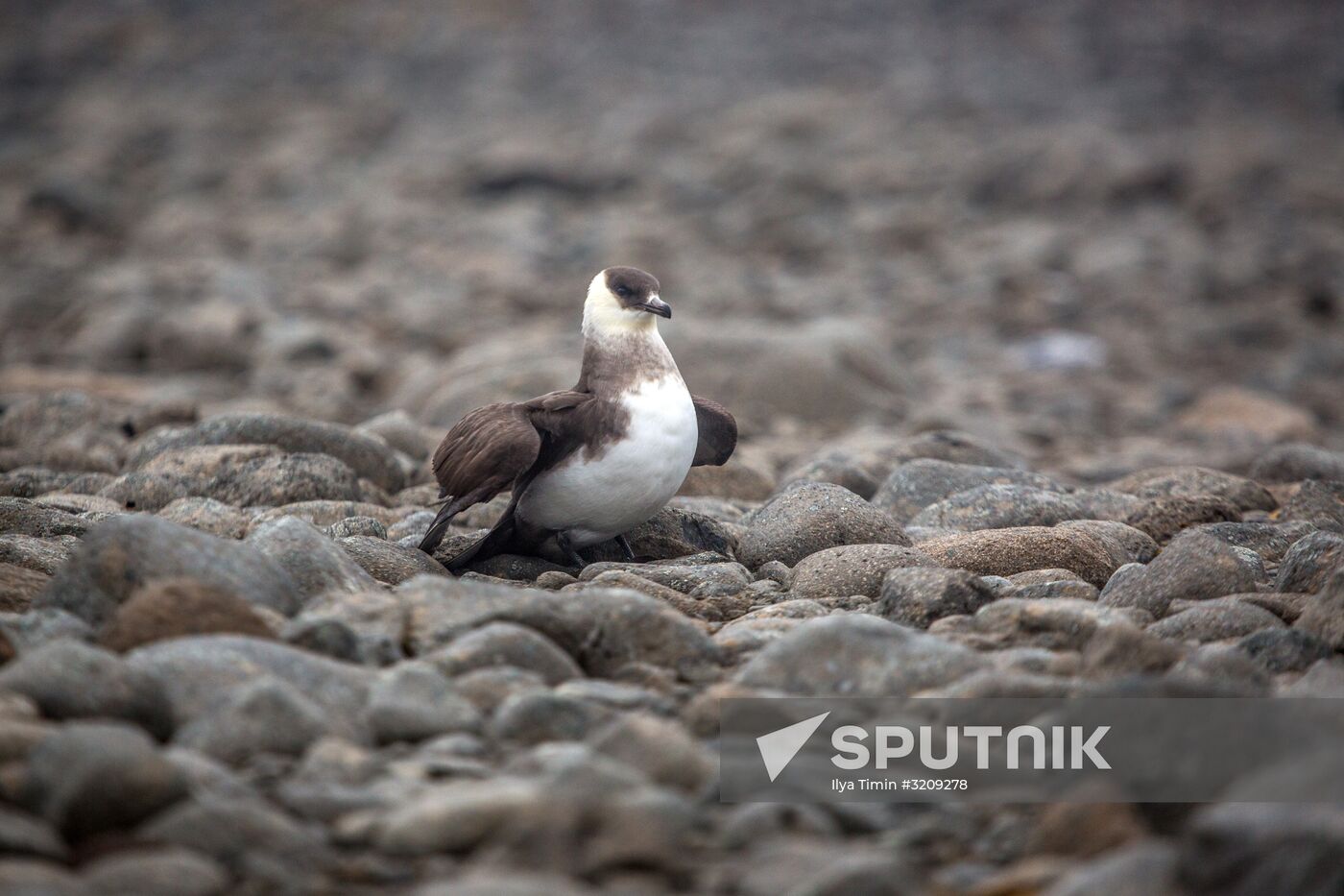 Franz Josef Land Archipelago